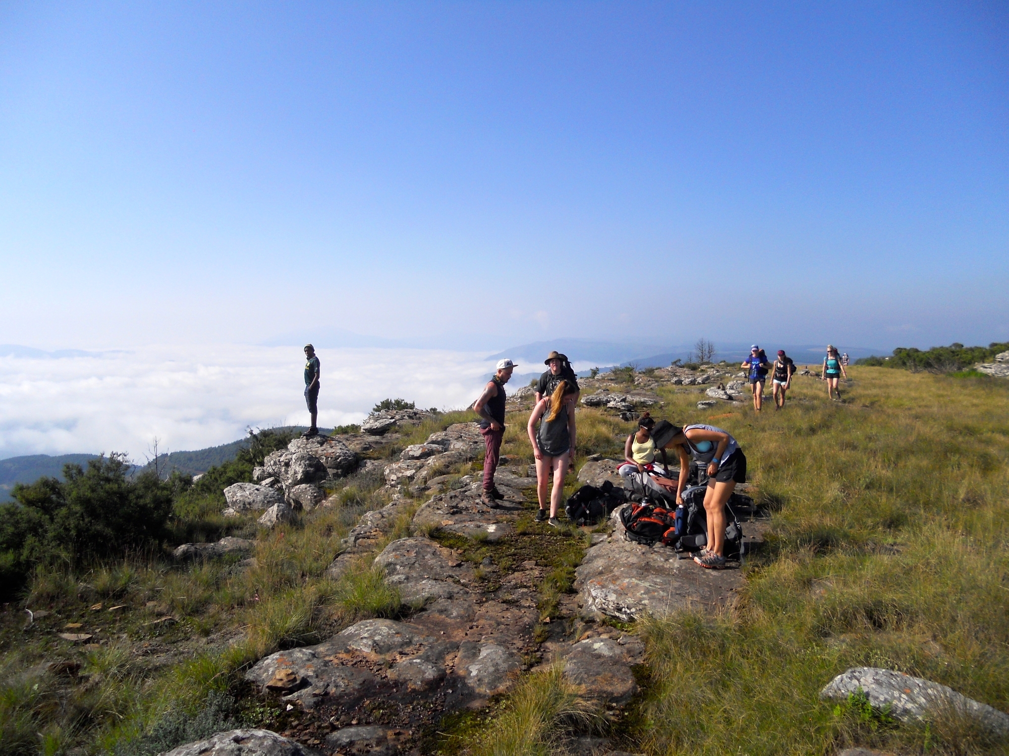 Gap Year Programs in South Africa Image